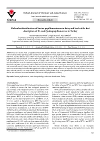 Molecular Identification of Bovine Papillomaviruses in Dairy and Beef Cattle: First Description of Xi- and Epsilonpapillomavirus in Turkey