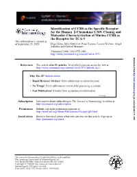 The Receptor for TCA-3 Molecular Characterization of Murine CCR8 As