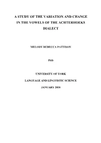 A Study of the Variation and Change in the Vowels of the Achterhoeks Dialect
