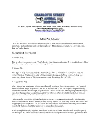 Feline Play Behavior Background Information
