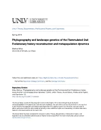 Phylogeography and Landscape Genetics of the Flammulated Owl: Evolutionary History Reconstruction and Metapopulation Dynamics