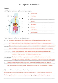 Topic 6.1 Answers