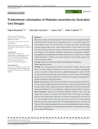 Predominant Colonization of Malesian Mountains by Australian Tree Lineages