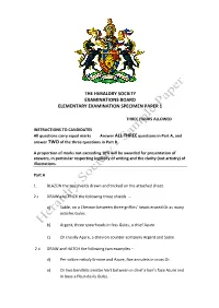 Sample Elementary Exam Paper 1