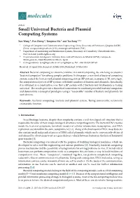 Small Universal Bacteria and Plasmid Computing Systems