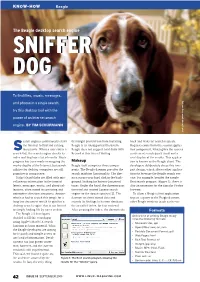 The Beagle Desktop Search Engine SNIFFERSNIFFER DOGDOG