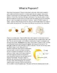 What Is Popcorn?