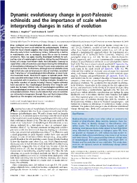 Dynamic Evolutionary Change in Post-Paleozoic Echinoids and the Importance of Scale When Interpreting Changes in Rates of Evolution