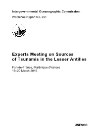 Experts Meeting on Sources of Tsunamis in the Lesser Antilles