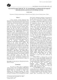 Heat Shock Proteins (HSP)-60, -70, -90, and 105 Display Variable Spatial and Temporal Immunolocalization Patterns in the Involuting Rat Uterus