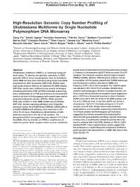 High-Resolution Genomic Copy Number Profiling of Glioblastoma Multiforme by Single Nucleotide Polymorphism DNA Microarray