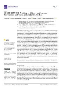 LC-ESI/QTOF-MS Profiling of Chicory and Lucerne Polyphenols and Their