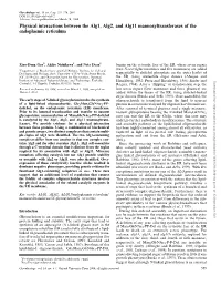 Physical Interactions Between the Alg1, Alg2, and Alg11 Mannosyltransferases of the Endoplasmic Reticulum