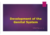 Development of the Genital System Development of the Gonads