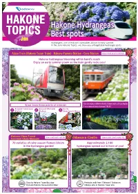 Hakone Topics Hakone Topics