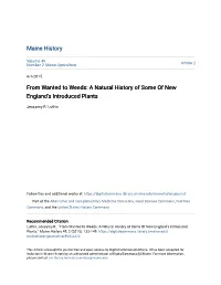 From Wanted to Weeds: a Natural History of Some of New England's