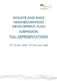 Rogate and Rake Neighbourhood Development Plan Submission Full Representations