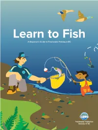 Beginner's Learn to Fish Guide