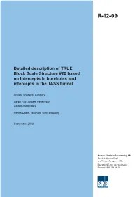 Detailed Description of TRUE Block Scale Structure #20 Based on Intercepts in Boreholes and Intercepts in the TASS Tunnel