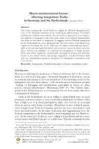 Macro-Environmental Factors Affecting Integration: Turks in Germany And