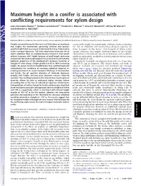 Maximum Height in a Conifer Is Associated with Conflicting Requirements for Xylem Design