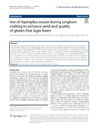 Use of Aspergillus Oryzae During Sorghum Malting to Enhance Yield
