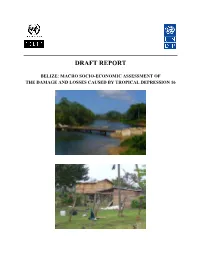 Draft Report