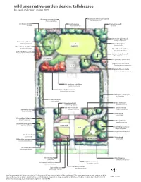 Wild Ones Native Garden Design: Tallahassee by Caleb Melchior | Spring 2021