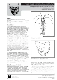 Hickman's Pygmy Mountain Shrimp (Allanaspides Hickmani) Is a Small, Shrimp-Like Crustacean Belonging to the Family Anaspididae