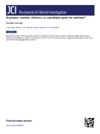 Arginase: Marker, Effector, Or Candidate Gene for Asthma?