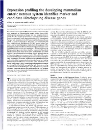 Expression Profiling the Developing Mammalian Enteric Nervous System Identifies Marker and Candidate Hirschsprung Disease Genes