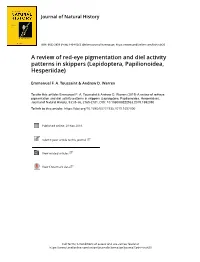 A Review of Red-Eye Pigmentation and Diel Activity Patterns in Skippers (Lepidoptera, Papilionoidea, Hesperiidae)