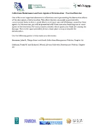 Collections Maintenance and Care: Agents of Deterioration – Practical Exercise