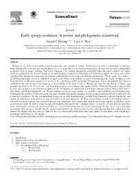 Early Sponge Evolution: a Review and Phylogenetic Framework