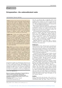 Ectoparasites—The Underestimated Realm