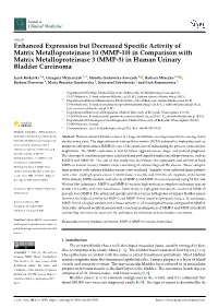 Enhanced Expression but Decreased Specific Activity of Matrix