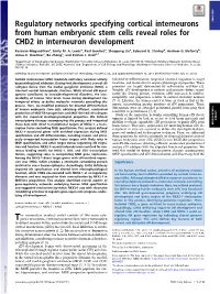 Regulatory Networks Specifying Cortical Interneurons from Human