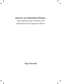 Thesis Final.Indd