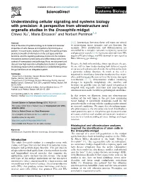 Understanding Cellular Signaling and Systems Biology with Precision: a Perspective from Ultrastructure and Organelle Studies In