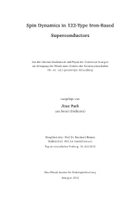 Spin Dynamics in 122-Type Iron-Based Superconductors