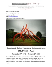 STEVE TOBIN – Roots November 4Th, 2019 – January 3Rd, 2020