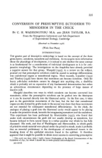 Conversion of Presumptive Ectoderm to Mesoderm in the Chick by C