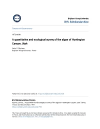 A Quantitative and Ecological Survey of the Algae of Huntington Canyon, Utah