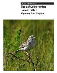 Birds of Conservation Concern 2021 Report