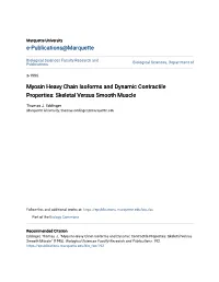 Myosin Heavy Chain Isoforms and Dynamic Contractile Properties: Skeletal Versus Smooth Muscle