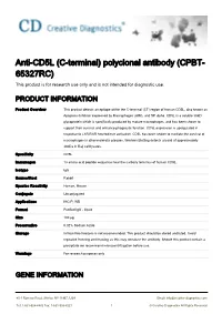 Anti-CD5L (C-Terminal) Polyclonal Antibody (CPBT- 65327RC) This Product Is for Research Use Only and Is Not Intended for Diagnostic Use
