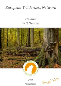 Hainich Wildforest Brief