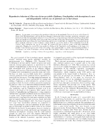 Opiliones, Gonyleptidae) with Description of a New and Independently Evolved Case of Paternal Care in Harvestmen