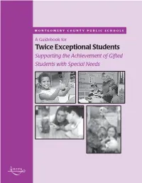 A Guidebook for Twice Exceptional Students