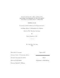 Evaluation of T-Cell and B-Cell Epitopes and Design of Multivalent Vaccines Against Htlv-1 Diseases